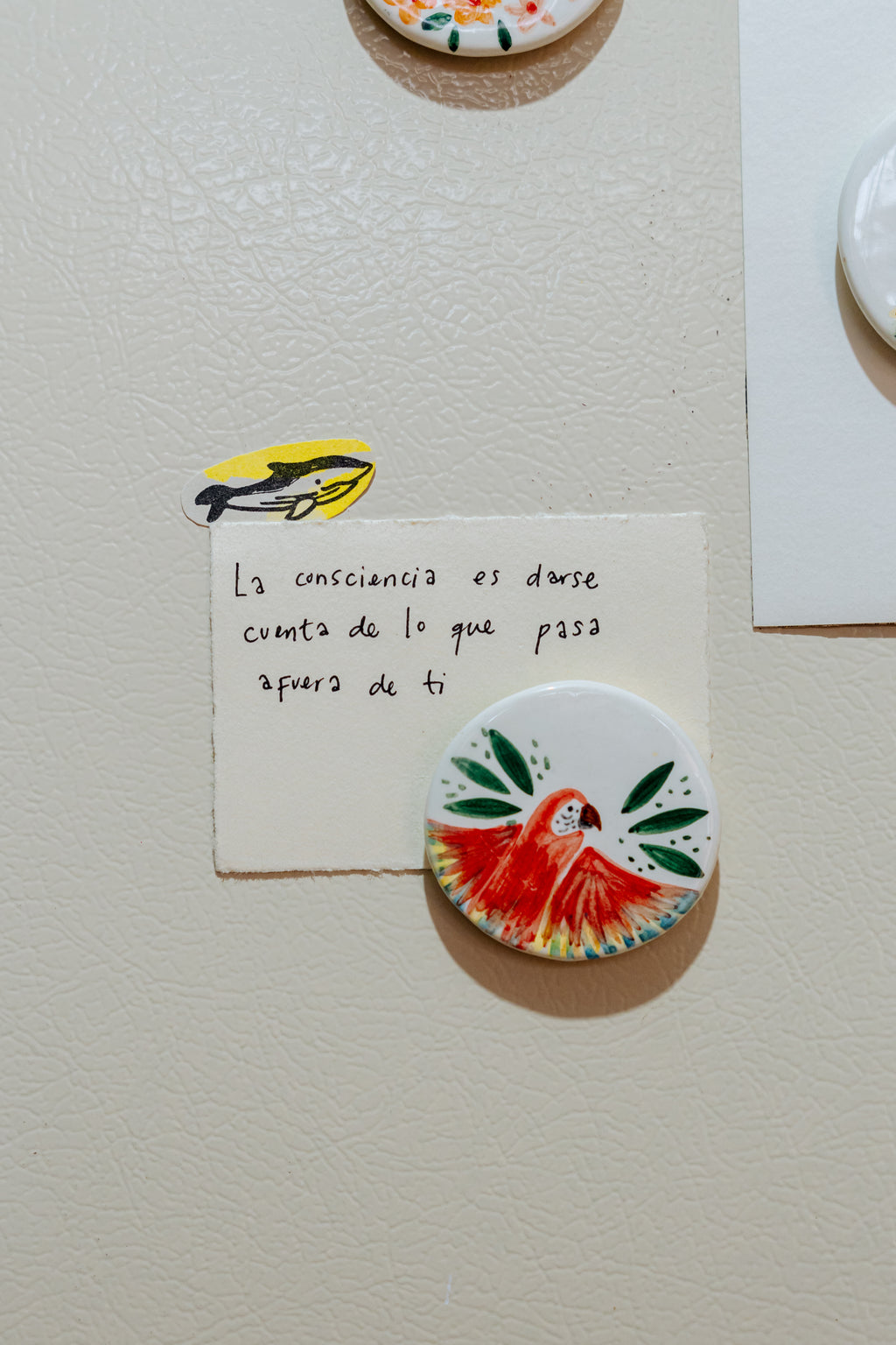 Imán decorativo Ilustrado en cerámica de 5 cm Tierra que abraza: La Guacamaya